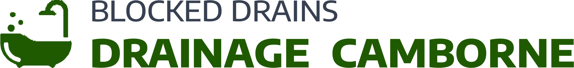 website logo